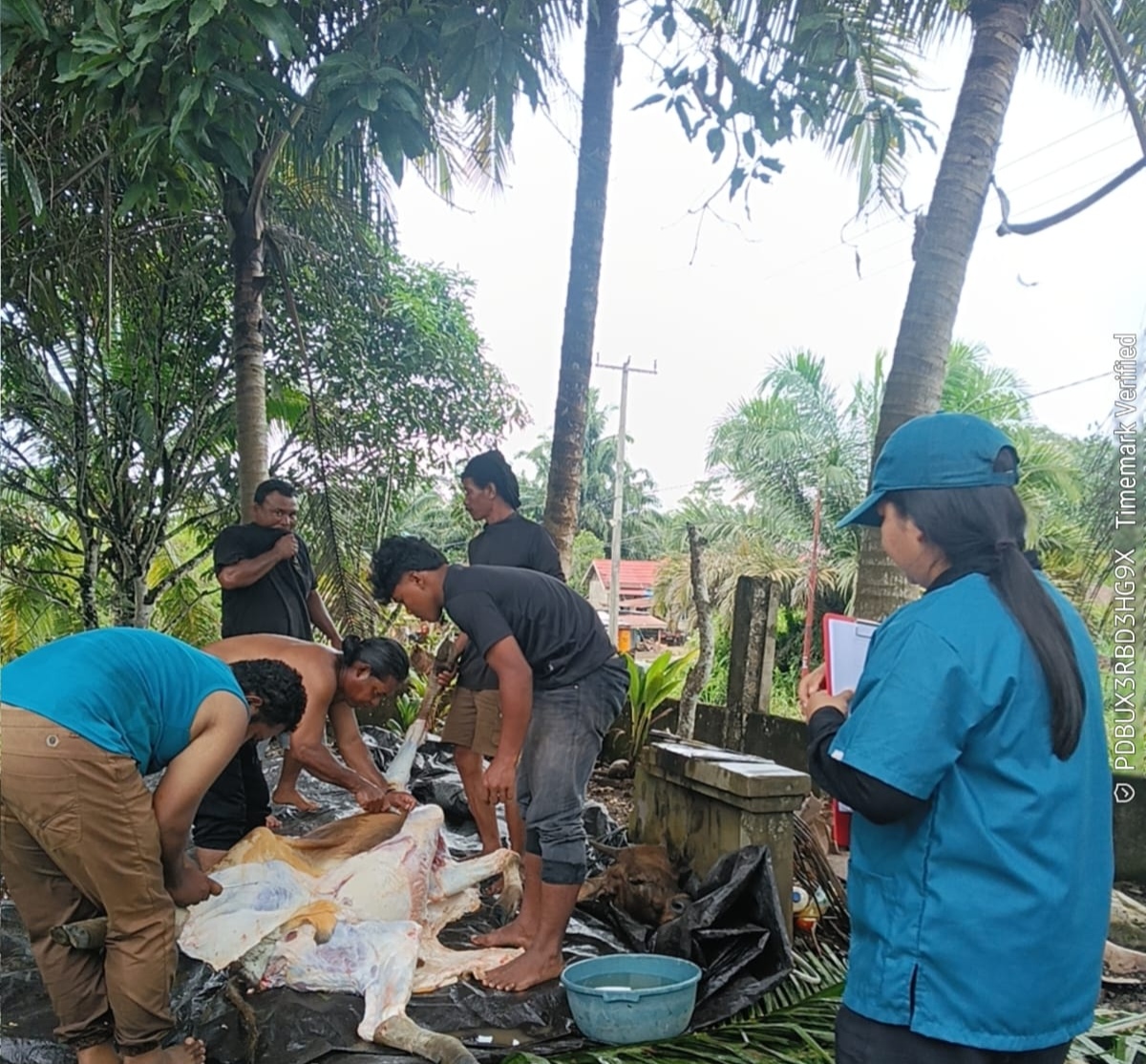 BERITA GAMBAR SIMPATIK